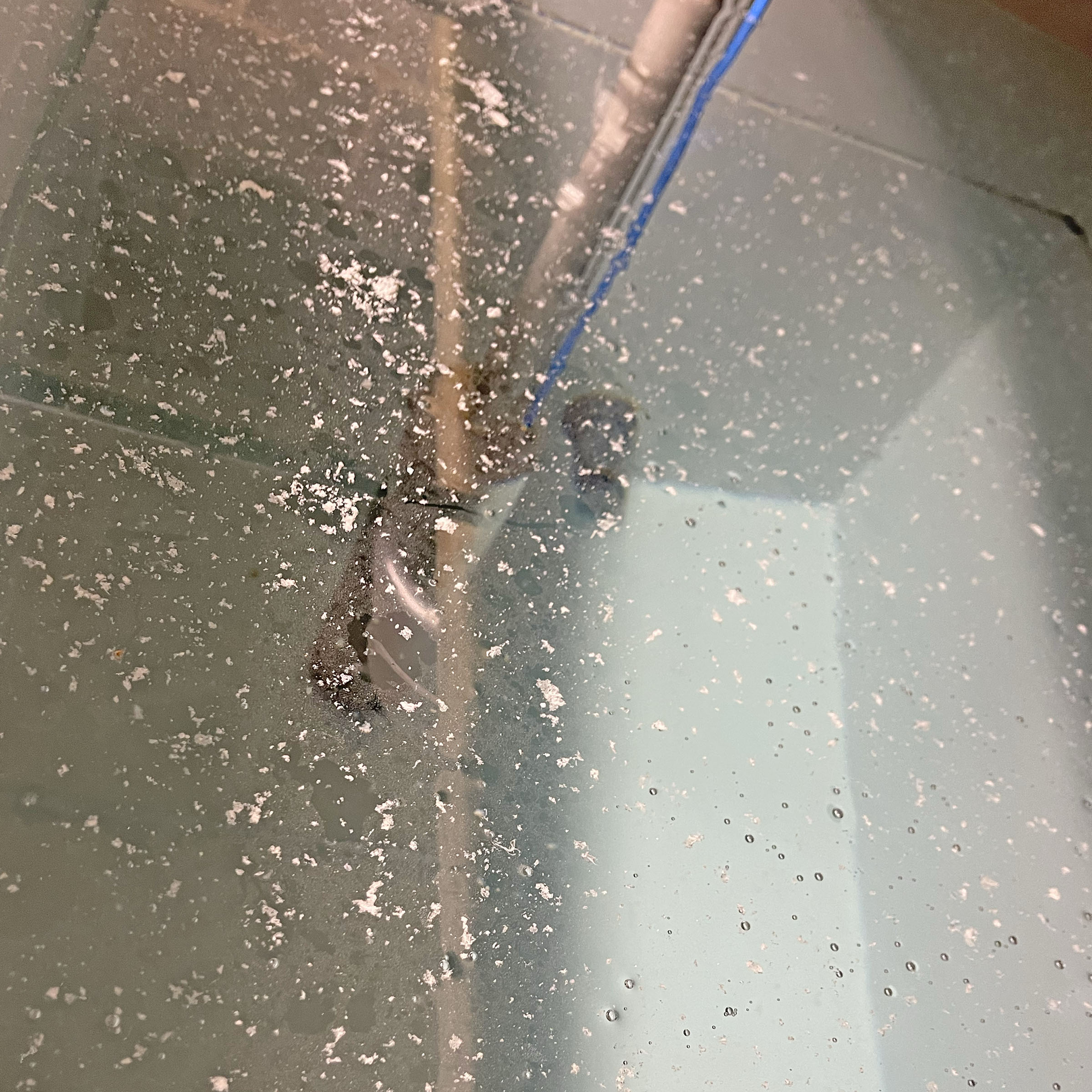Floating particles in clear water surface
